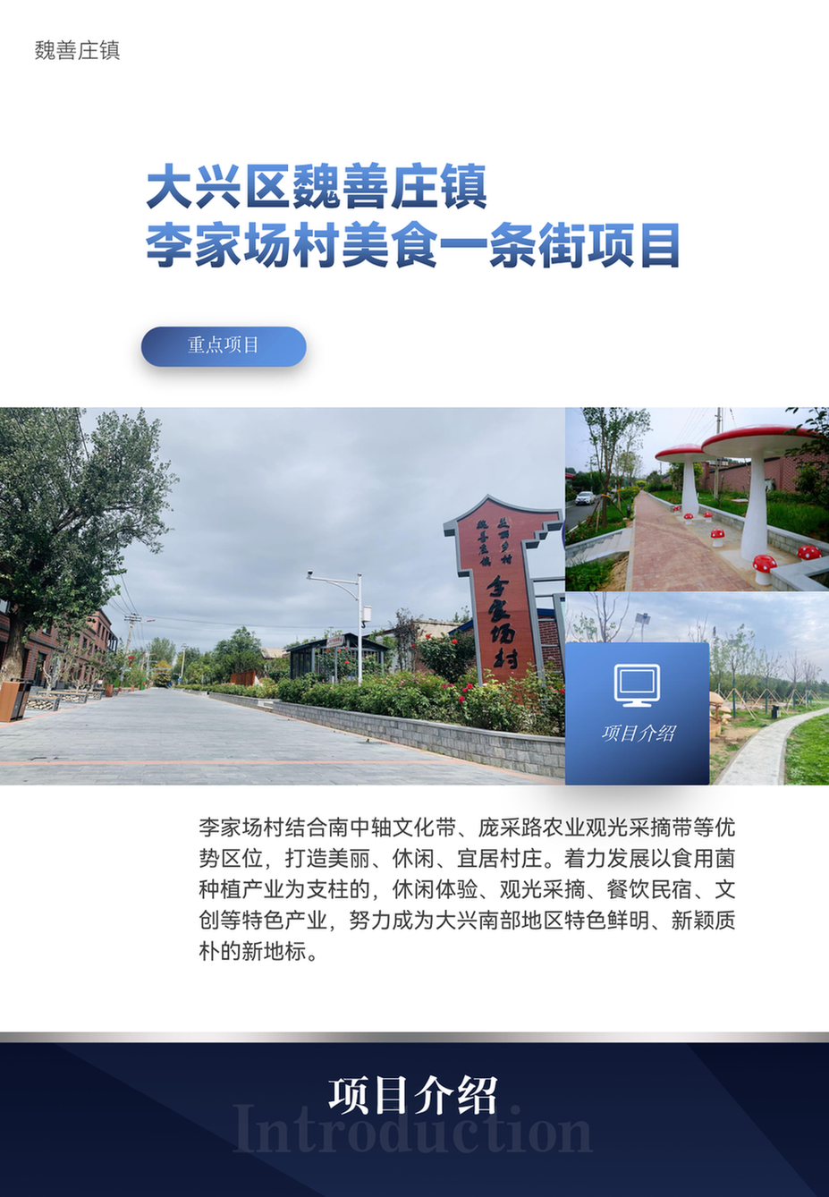重点项目招商手册-魏善庄_zdxmzssc-wsz_1