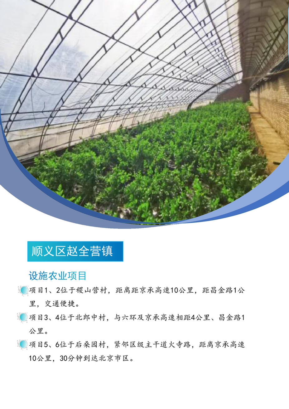 5赵全营镇设施农业项目_5zqyzssnyxm_1