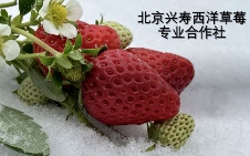 北京农村产权交易所