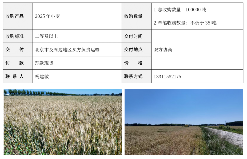 粮食收购需求7.28